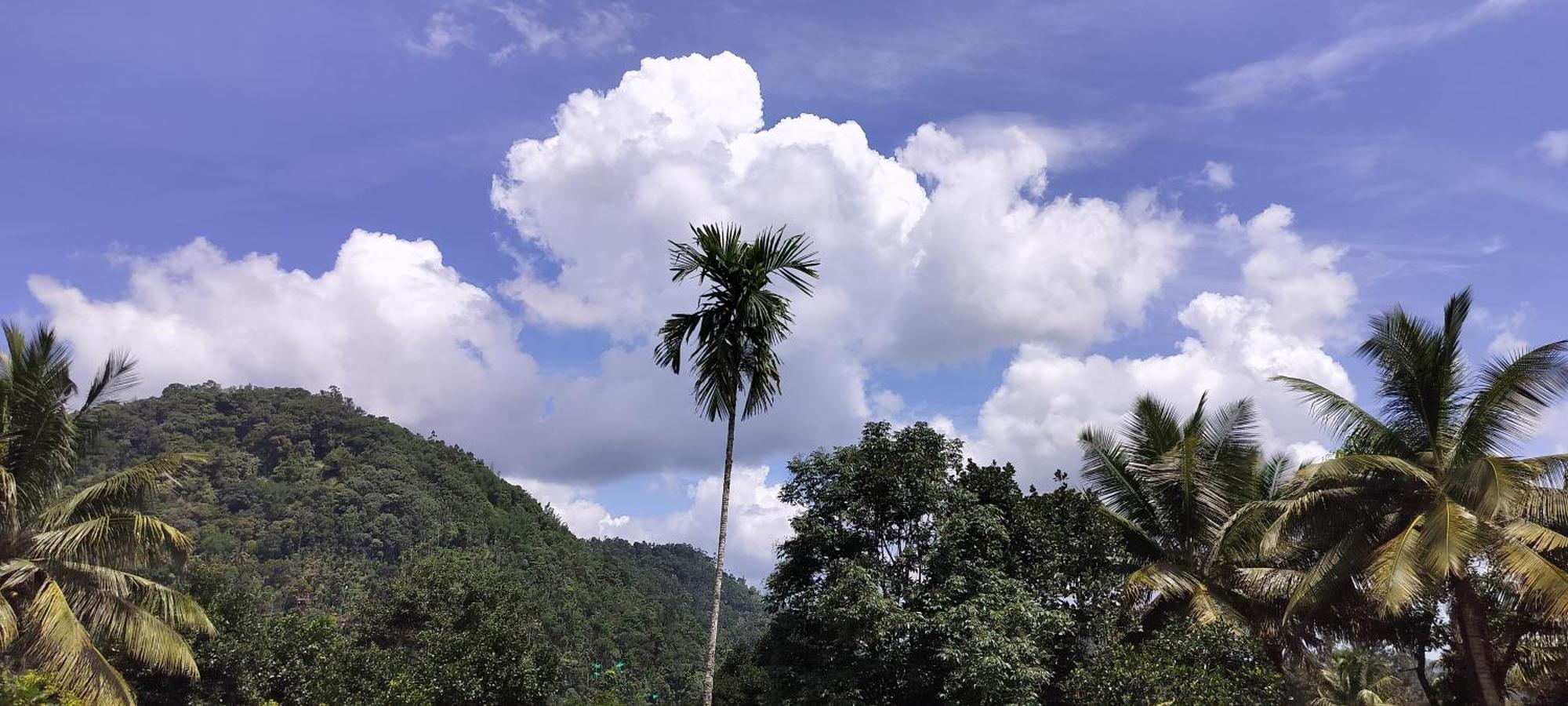 Himadri Munnar Holidays מראה חיצוני תמונה