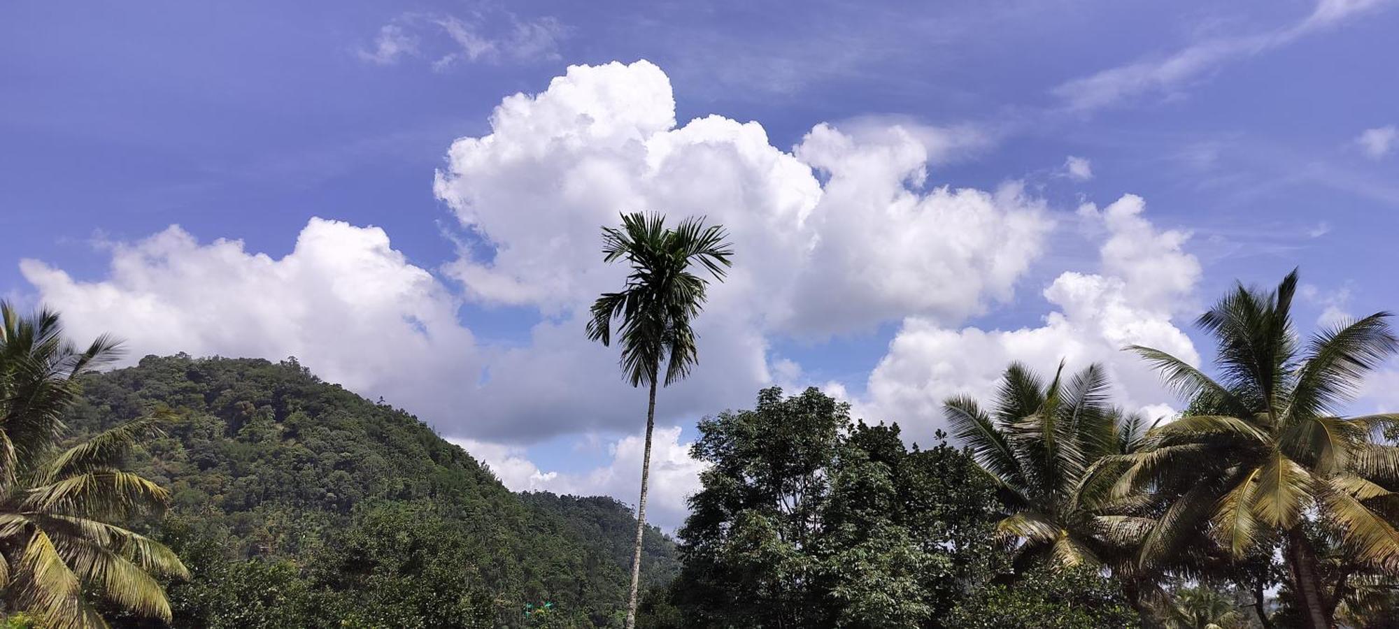 Himadri Munnar Holidays מראה חיצוני תמונה